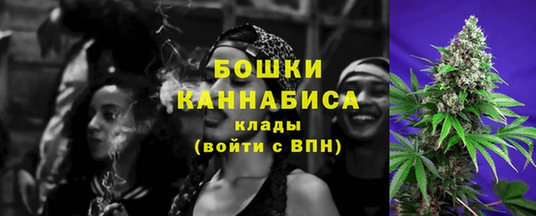 PSILOCYBIN Гусев