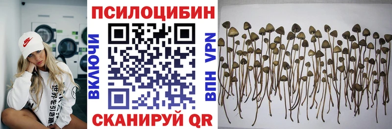 Галлюциногенные грибы Psilocybe  мега как зайти  Дыгулыбгей  наркошоп 